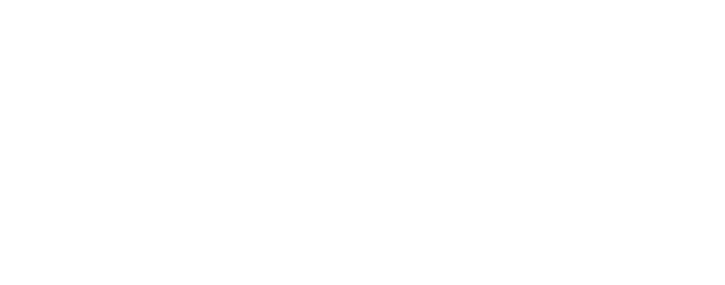 StrideBR